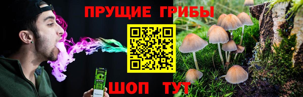 купить наркотики цена  Псилоцибиновые грибы Cubensis  Кисловодск  Вход с VPN  Псилоцибиновые грибы MAGIC MUSHROOMS 